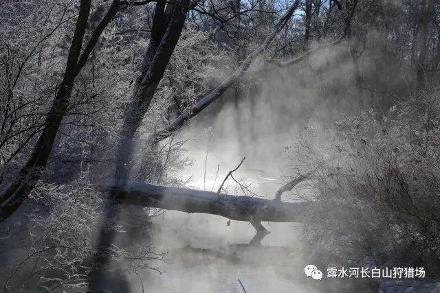 《命运方舟》瞬发残影刀锋玩法攻略