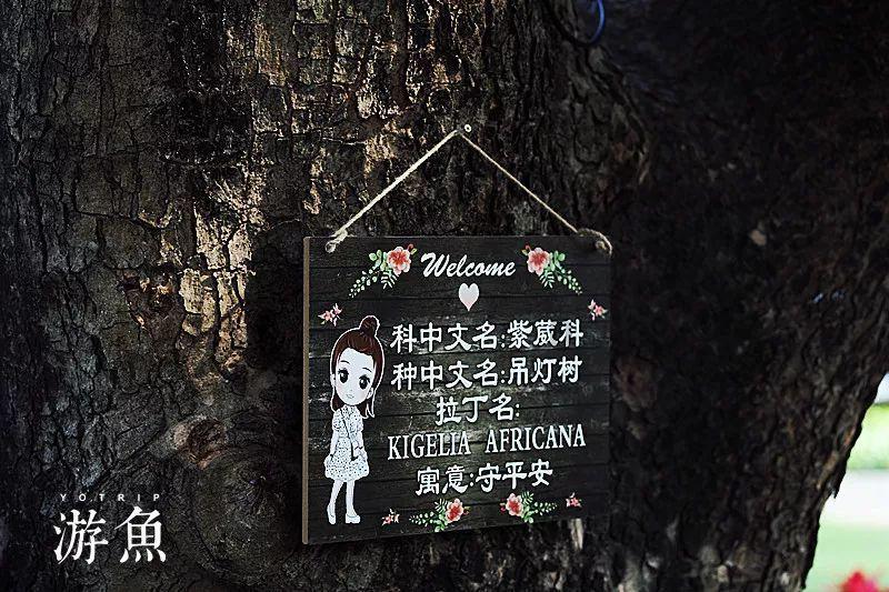 吉电股份(000875.SZ):大安制绿氨项目已经全面开工建设,计划2024年底投产