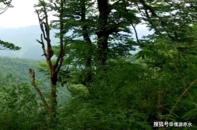 星网宇达增值电信业务经营许可证通过审核