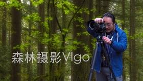 怪才金圣叹:12岁批《水浒传》,32岁点评六才子书,54岁被斩首