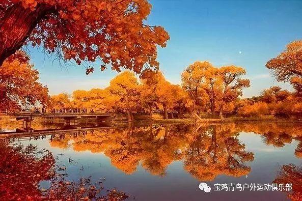 小犀牛救援