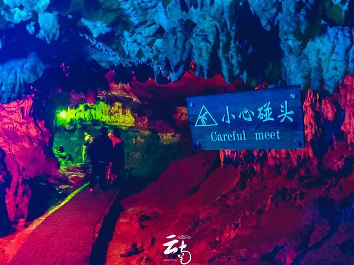救援可爱的洋葱