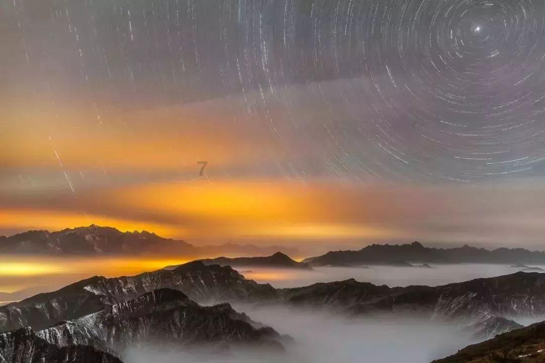 照顾小兔宝宝