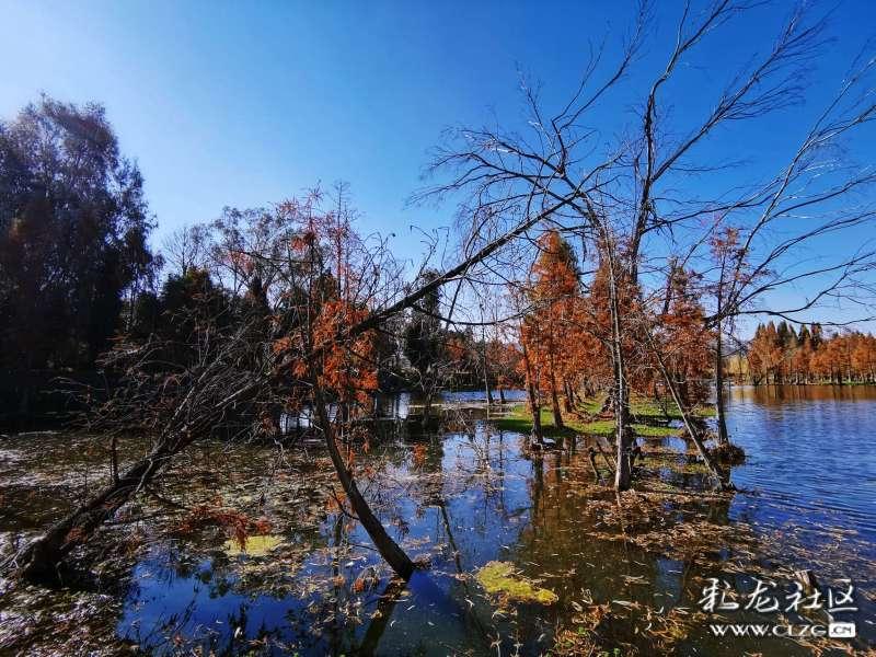 跳出深坑