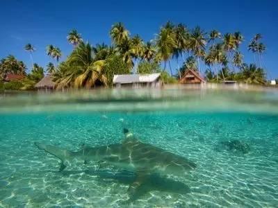 欧洲的旅行