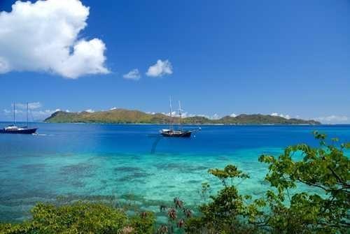 福鼎公开抽签确定2024年春节期间城区烟花爆竹临时零售点经营权!