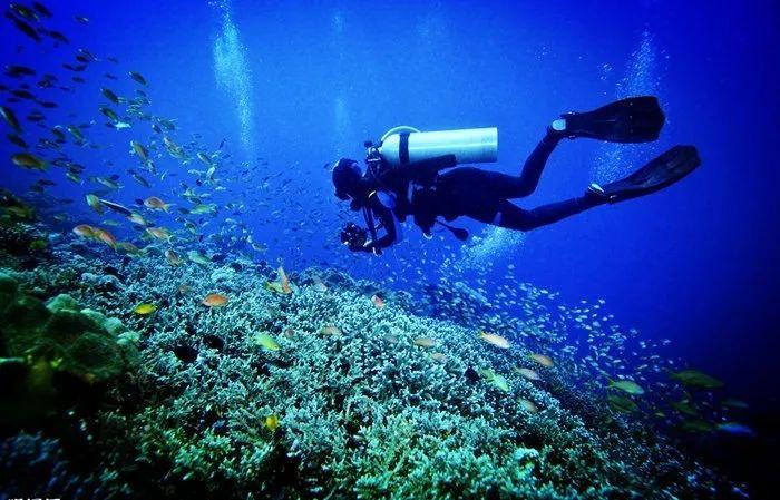 郭沫若离世6年,谢冰莹登报“揭露”于立忱死因:是被郭沫若害的