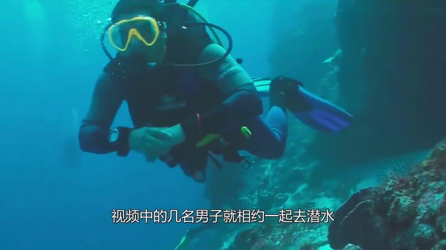 勿忘我
