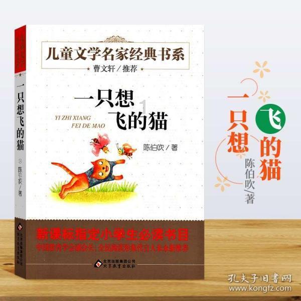彩丽公主日常装扮
