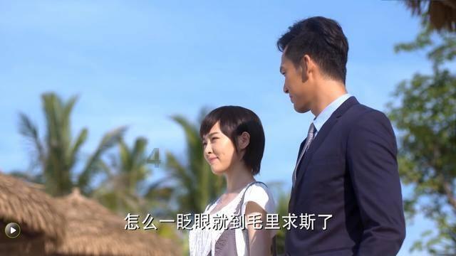 模拟农场17