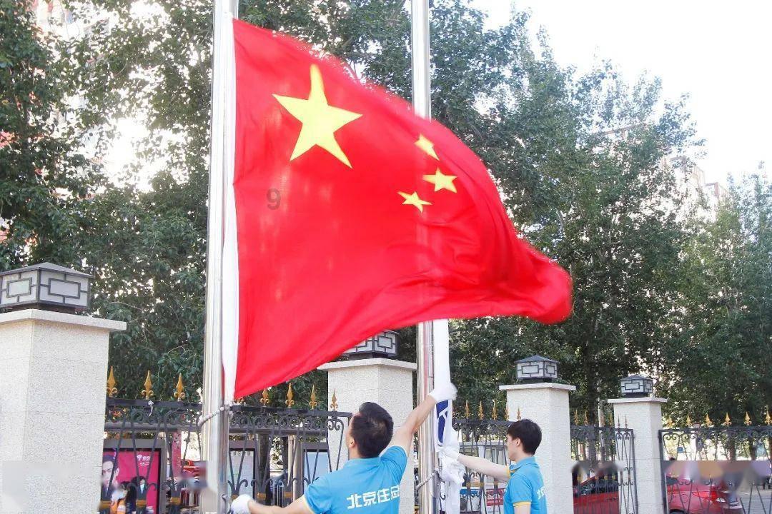 逃出茂密的丛林