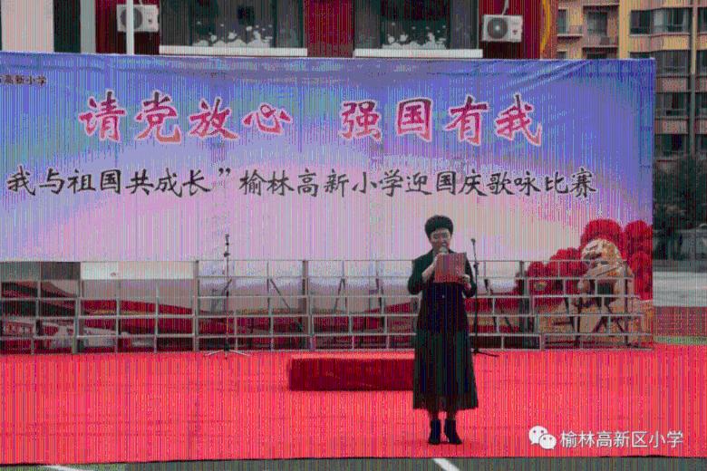 棒球训练赛