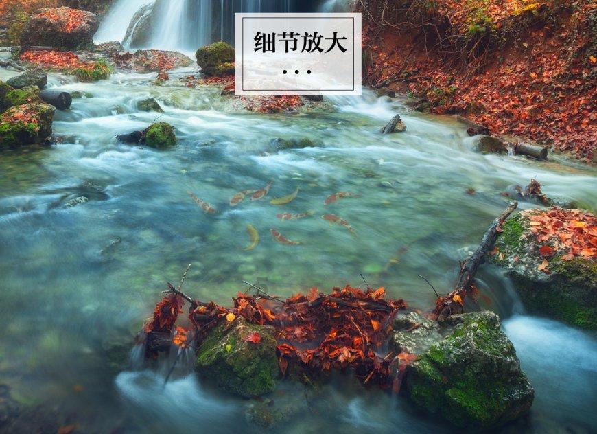 小宝贝打网球