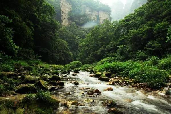 丝路国际文化艺术节青少年艺术节（寒假场）圆满落幕