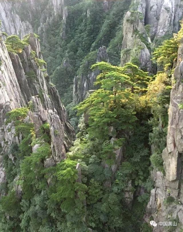 重庆摩方精密拟A股上市：系3D打印细分领先者 预计将增资扩股