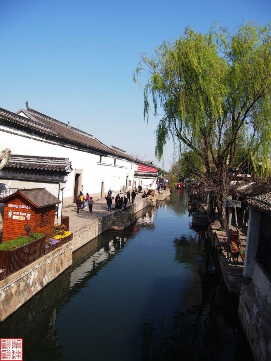 拯救小松鼠