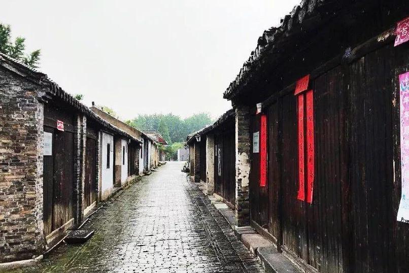 数码宝贝8