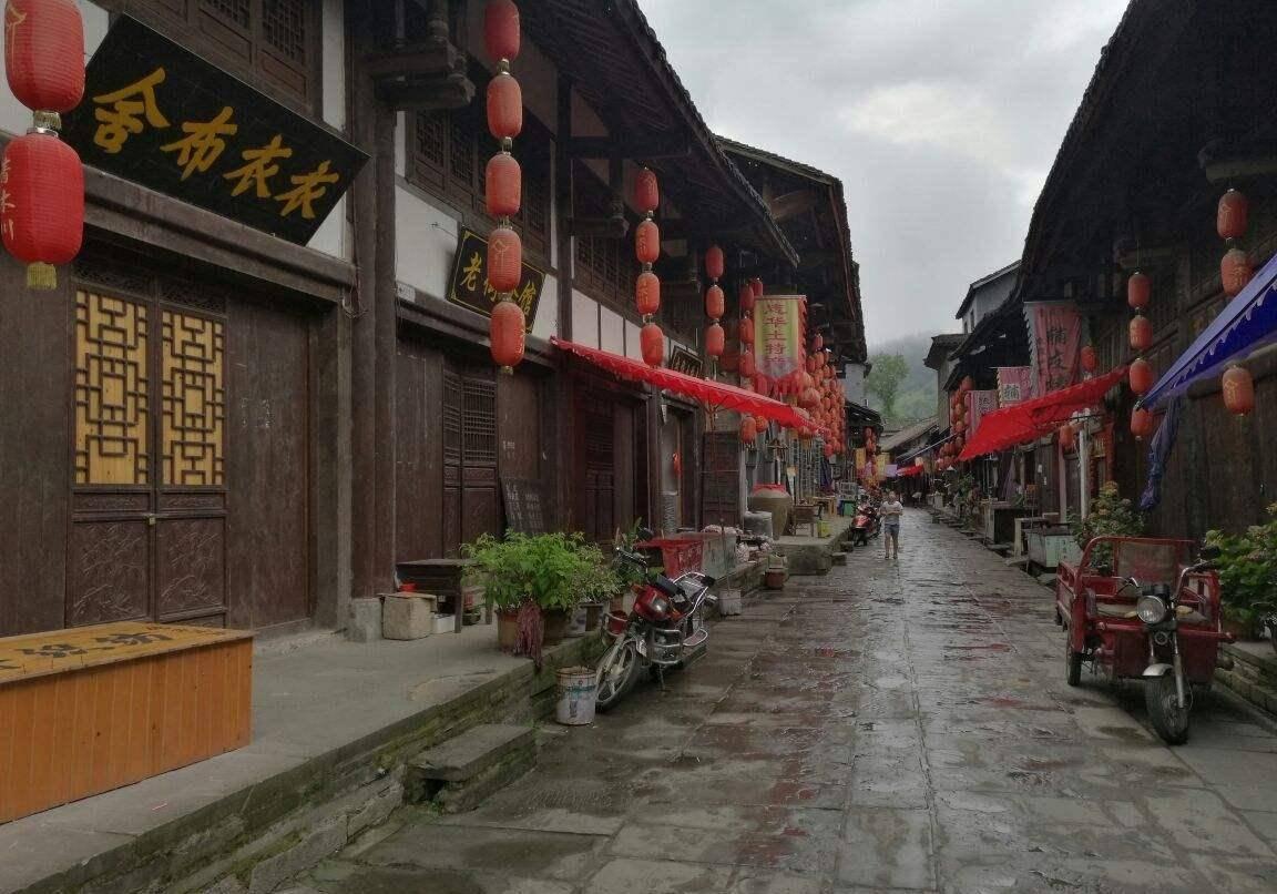 夜莺只有雄性才会唱歌吗游戏画面